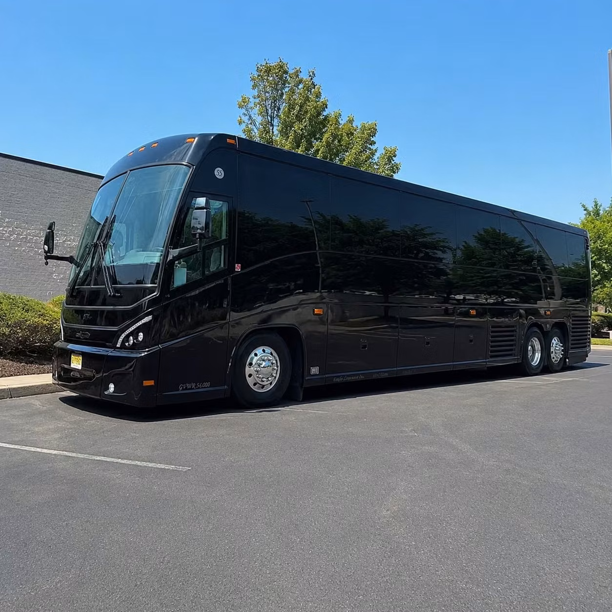 56 passenger charter bus